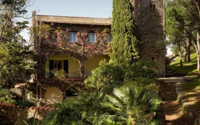 Exposition Back to Matisse Collioure | Visite privée