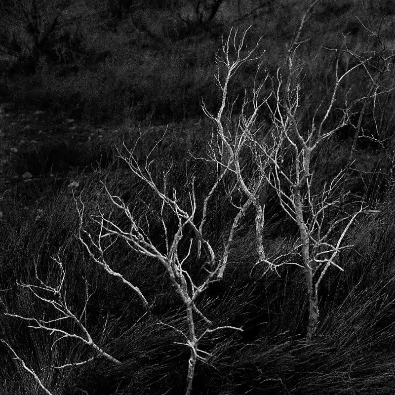 Charlotte Auricombe Là où se loge le manque